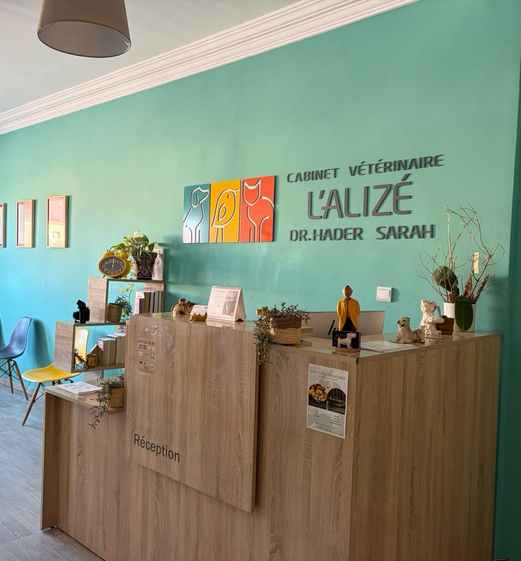 L’accueil du Cabinet Vétérinaire L’Alizé à Essaouira, sous l’enseigne du cabinet