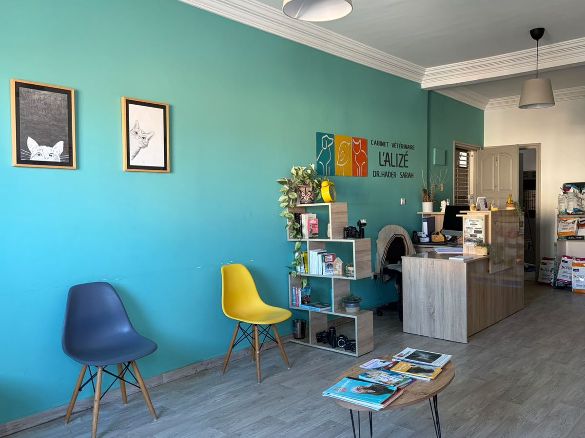 Coin d’attente avec chaises colorées et l’enseigne L’Alizé