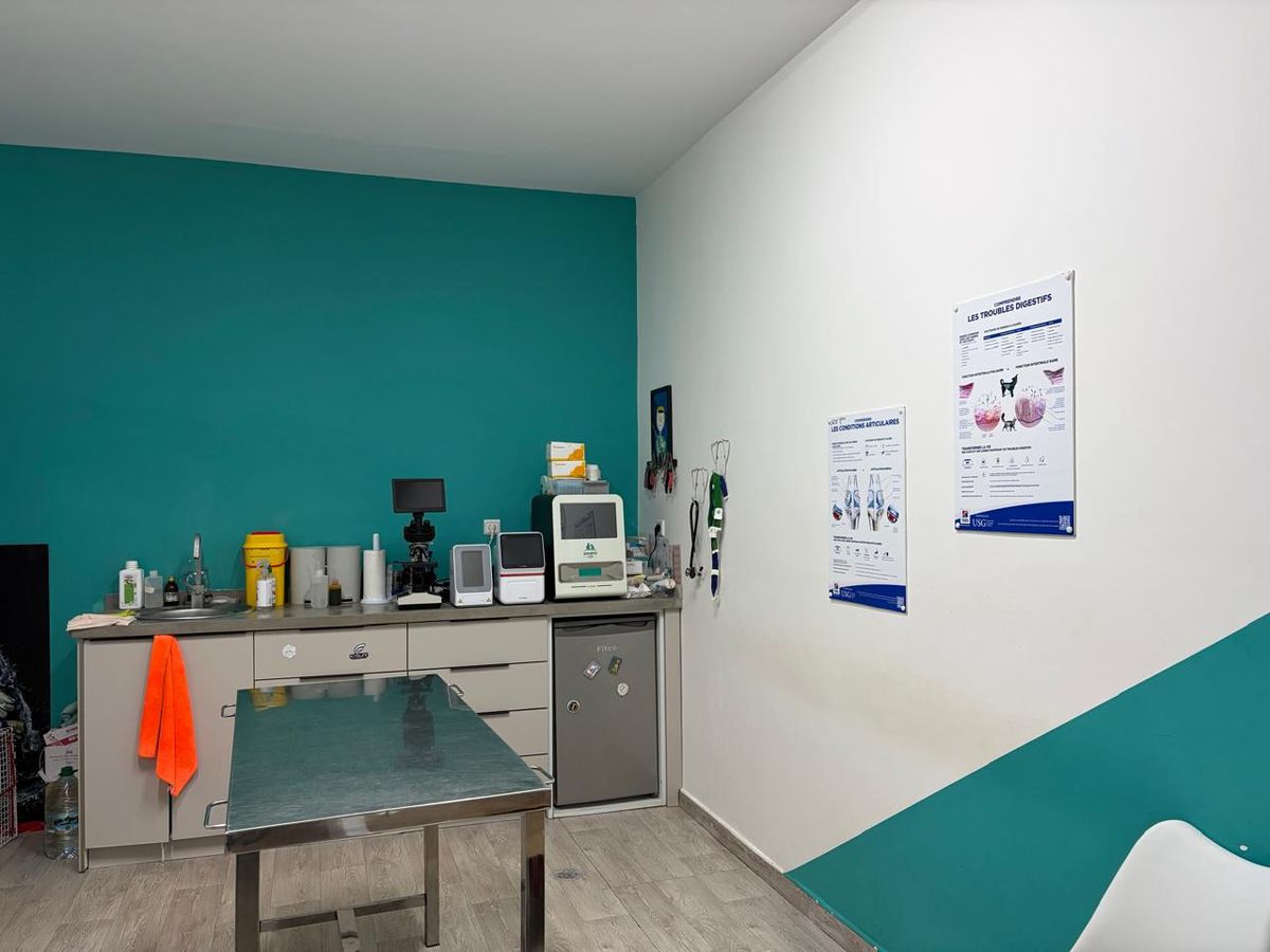Le coin laboratoire du cabinet, avec microscope, appareils d’analyse et table d’examen