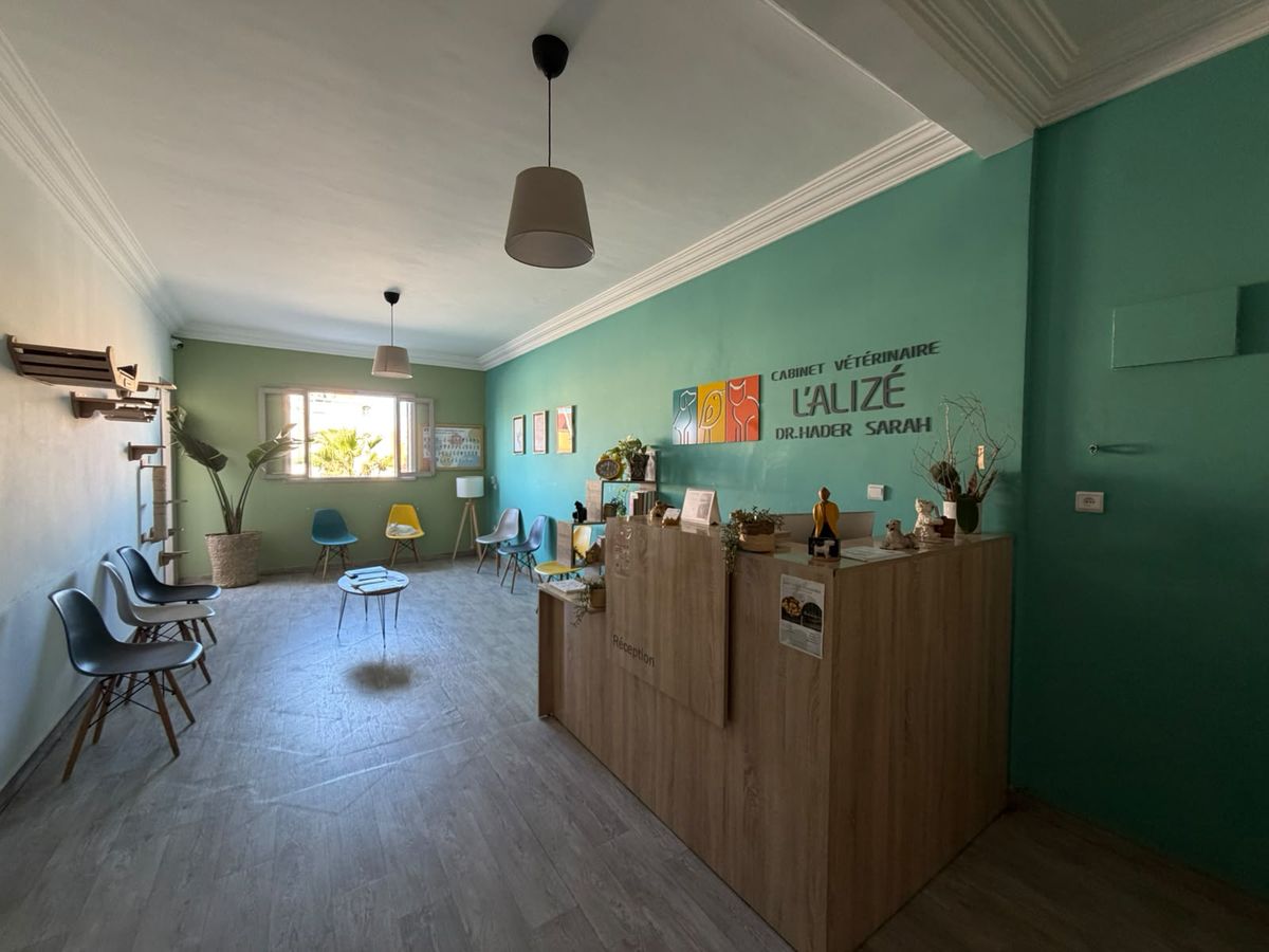 La salle d’attente lumineuse et le comptoir d’accueil